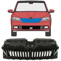 Grelha para Skoda Fabia 2018-2021 16214